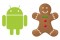 Android 2.3 Gingerbread duplira broj podržanih jezika